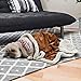 Pawsee Fleece Haustierdecke Flauschig Waschbar Sherpa Plüsch Kuscheldecke Hundebett für Hunde Welpen Katzen, 114 x 76cm