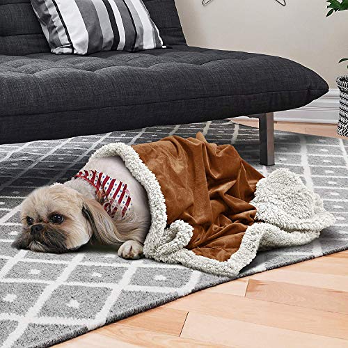 Pawsee Fleece Haustierdecke Flauschig Waschbar Sherpa Plüsch Kuscheldecke Hundebett für Hunde Welpen Katzen, 114 x 76cm
