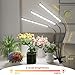 GooingTop Grow Light LED Gooseneck Lamp,Triple-Head Full Spectrum 222 LED Plant Lamp with Red Blue Light Clip-on Desk for Indoor Plants Growing,Diming & Auto Timer