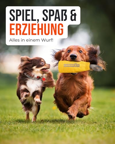 ZAUBERPFOTE Futterbeutel 'Joy' - Mit wasserfestem YKK® Reißverschluss - Apportierbeutel für Hundetraining - Ideal für Leckerlies – Praktische & robuste Leckerlitasche für Hunde