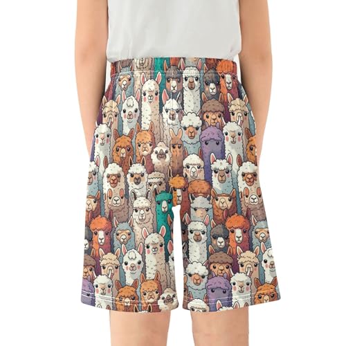 ALAZA Alpaca Llama Animal Vintage Pajama Shorts Sleep Shorts Pant Lounge Pajama Bottoms Elastic Waist with Pockets2