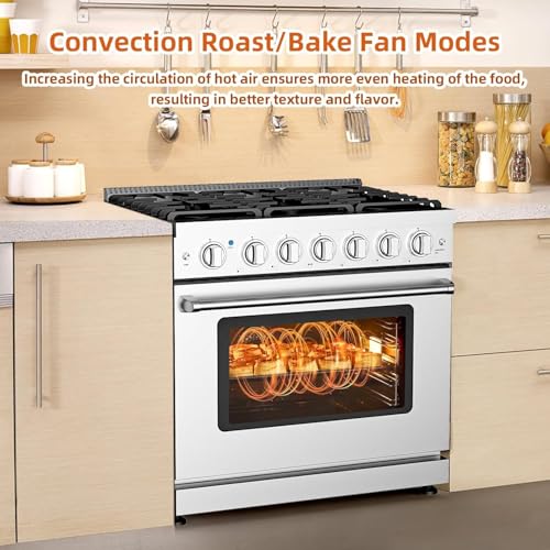 36-Inch Freestanding Gas Range with 6.0 Cu.Ft True Convection Oven - 6 Sealed Burners, Heavy-Duty Cast Iron Grates, Easy Reach Racks, Storage Drawer, In Stainless Steel, Silver