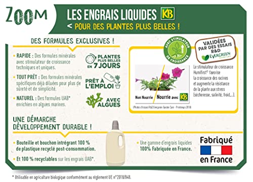 Engrais cactus et plantes grasses KB 250ml - 4