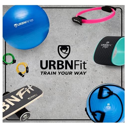 Exercise Ball (65 CM) for Stability & Yoga - Workout Guide Incuded - Professional Quality (Blue) - Image 10