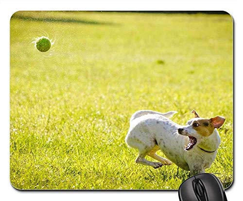 Preisvergleich Produktbild Mauspads - Hundeaktion Hunt Ball