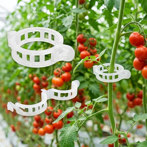 300Pcs Tomato Clips Thickened Plant Support Clips for Climbing Plants Trellis Clips for Tomato Grape Vine Garden Clips for String Trellis Vegetables Plant Fixing Clips Help Grow Upright