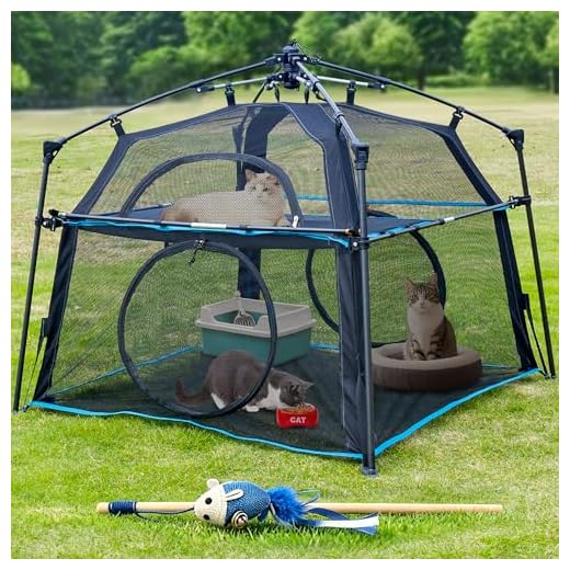ITENT Portable Cat Enclosure Tent