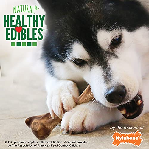 Nylabone-Healthy-Edibles-Natural-Long-Lasting-Venison-Flavor-Dog-Chew-Treats-Wild-Bone-LargeGiant1-Count