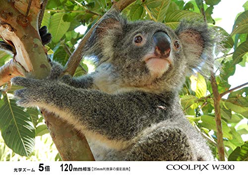 Nikon COOLPIX W300 OR クールピクス オレンジ の商品画像 10