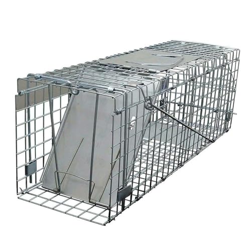 Humane Tierfalle Rattenfalle 1 Tür Eichhörnchen Lebendfalle für Capture Marder, Katzen, Füchse, Ungeziefer, Wildtier Tier, 61 x 19 x 21cm wasserdichte Stahlmesh Wiederverwendbare Rattenfalle