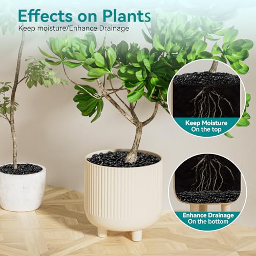 Image of 2.5 lbs Black Pebbles for Indoor Plants, 3 /8 inch Small Rocks for Plants Indoor, Succulent, Bamboo, Vase, Decorative Black River Rocks Pea Gravel, Highly Polished
