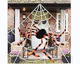  Royouzi Halloween Deko Spinnennetz, Halloween GroßEr Halloween Spinne Gruselige mit.5M Spinnennetz und 1 StüCk 125CM Riesen Spinne Dehnbares Halloween Spinnweben Outdoor Garten Party Horror