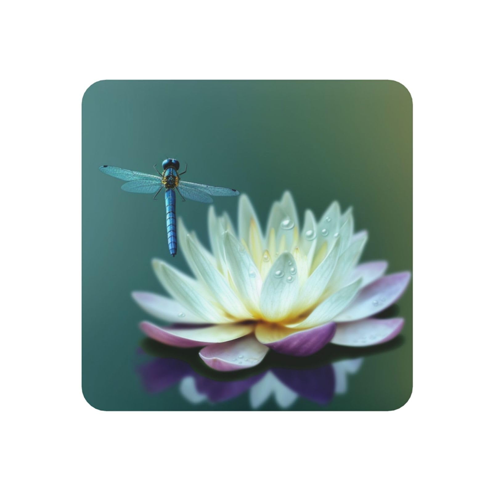 Dragonfly with Water Lily Fridge Magnets Small Strong Refrigerator Magnets Cute Decorative Magnets Fridge Sticker Office Magnets for Fridge, Whiteboard, Kitchen Accessories