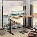 Furmax Electric Height Adjustable Standing Desk Large 55 x 24 Inches Sit Stand Up Desk Home Office Computer Desk Memory Preset with T-Shaped Metal Bracket, Maple