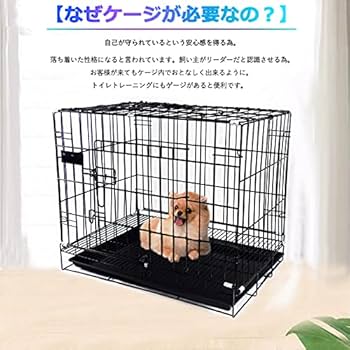 Amazonベーシック 犬ペットケージ トレー付 シングルドア 大型犬 ブラック Amazon.co.jp: Amazonベーシック 犬 ペットケージ 折りたたみ