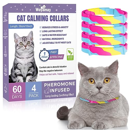 Cat Calming Collar The 15 best products compared Wild Explained