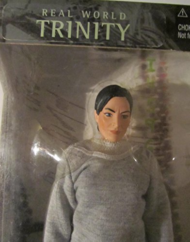 Matrix - Trinity real world – vue 3