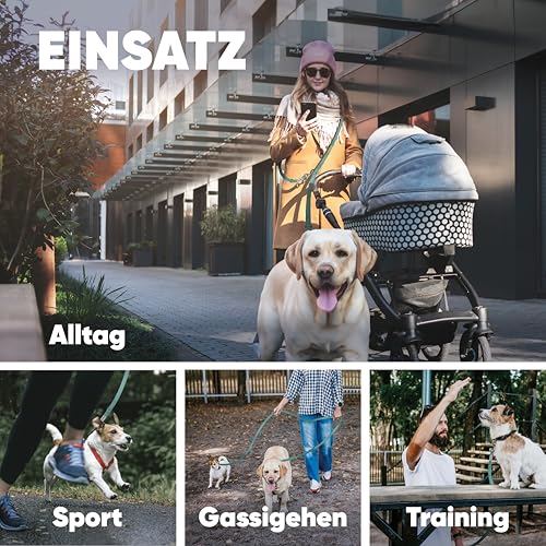 PAROWAU Hundeleine 3m [4-Fach verstellbar] + Hundespielzeug Ball [Zahnpflege Hund] Leine Hund Hundezubehör Hundeleine für große Hunde Hundespielzeug Intelligenz Hundespielzeug unzerstörbar (türkis)