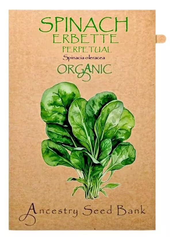 Organic Spinach ❁ Perpetual Erbette ❁ x100 Seeds Heirloom - Non GMO