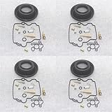 El kit de reparación/reconstrucción de carburador permitirá que el carburador mezcle la cantidad correcta de gasolina con aire, mejorando así su eficiencia.