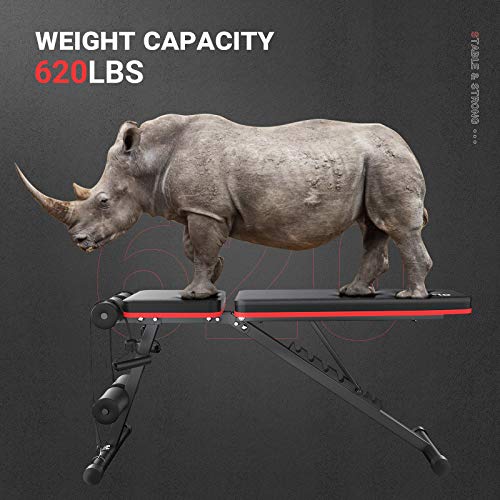 Homfio Weight Bench for Full Body Workout, Adjustable and Foldable Workout Bench Press for Strength Training Benches, with Fast Folding Incline Decline Exercise Workout Utility Gym Bench Bench for Home Gym