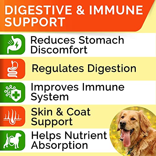 Fish Oil Omega 3 Treats For Dogs + Dog Probiotics Treats For Picky Eaters Bundle - Allergy Relief, Joint Health, Itch Relief. Skin & Coat Supplement + Enzymes + Prebiotics For Digestion Support #TOP2