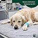 Medbed Standard Hundedecke – Medizinische Liegeunterlage für Hunde | Feuchtigkeitsdurchlässig, Gelenkschonend & Antiallergen | Waschbar bis 95 °C (70 x 100 cm, Grau)