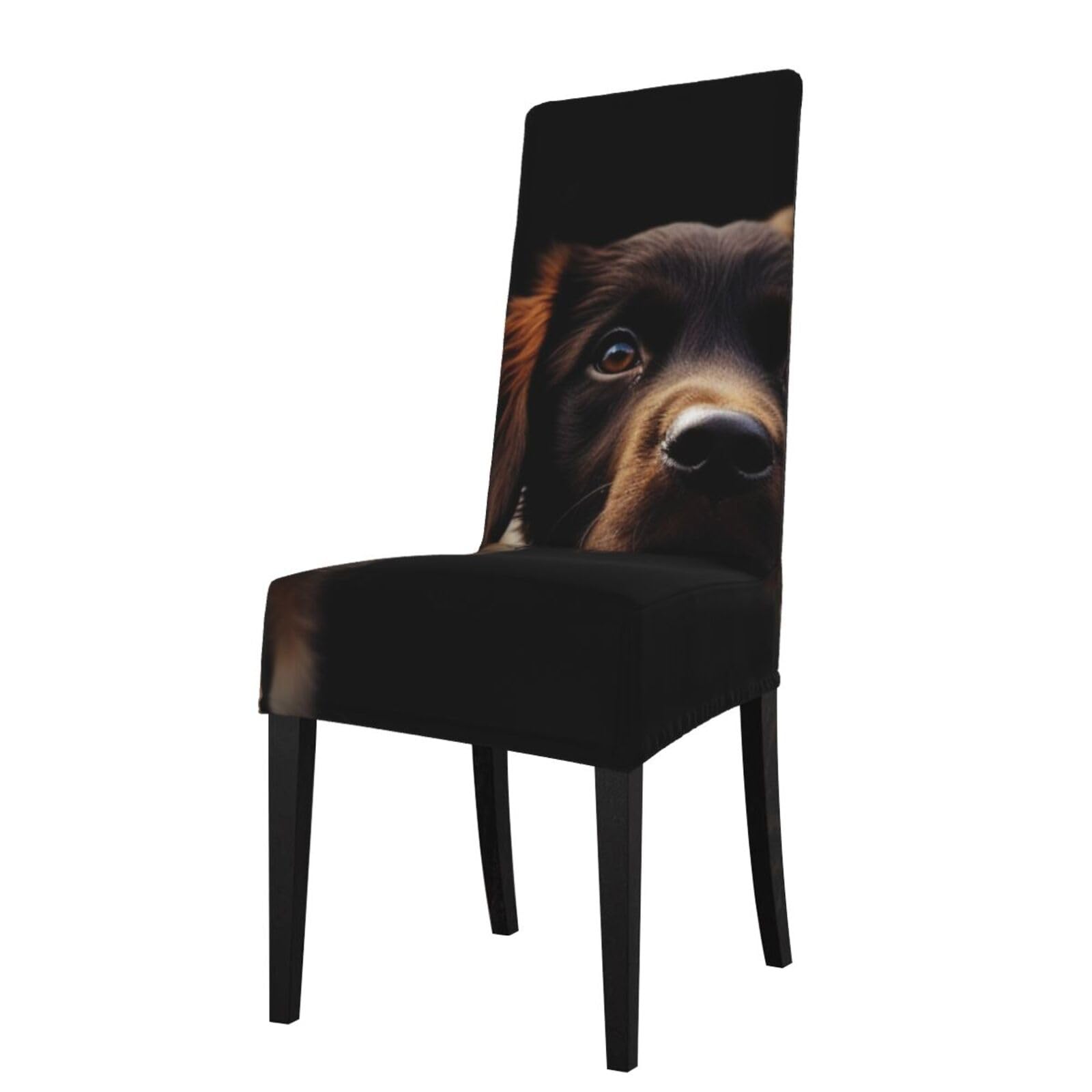 WPKJU Puppies Dog Print Dining Chair Covers Removable Chair Seat Covers Decorative for Kitchen & Bar Stools