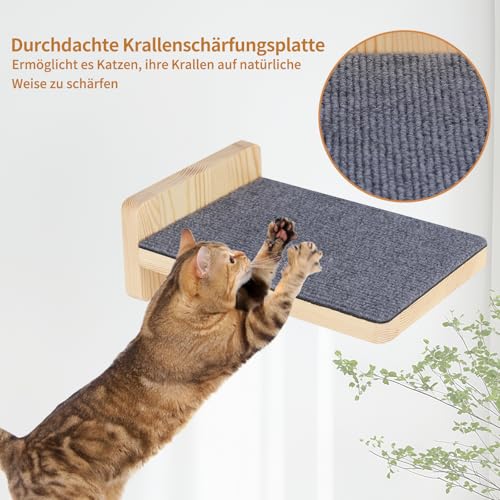 Mur d'escalade pour chat pour libérer l'espace au sol avec hamac