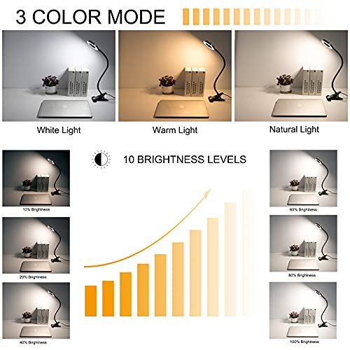image for Clip Light Reading Lights - QQAPPU 24 LED Clamp-on Desk Lamp with 3 Co