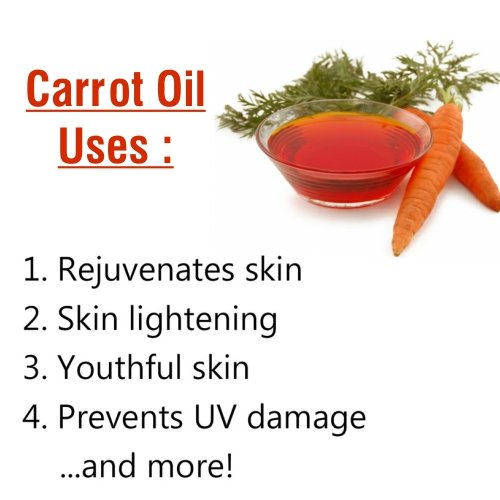 Image of Salvia Carrot Oil with Dropper 100% Natural Pure Undiluted Uncut Essential Oil - 15ml