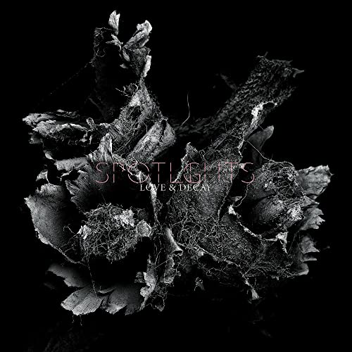 Love & Decay [Vinyl LP]