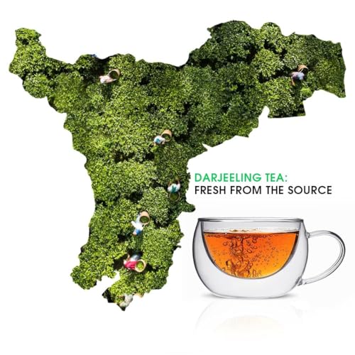 Image of Teabox Green Tea Loose Leaves | Made with 100% Whole Leaf, Sourced from Highlands | 0% Bitterness Assured | 100G (Pack of 3)