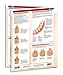 Dental: Upper & Lower Chart- Medical Quick Reference Guide by Permacharts