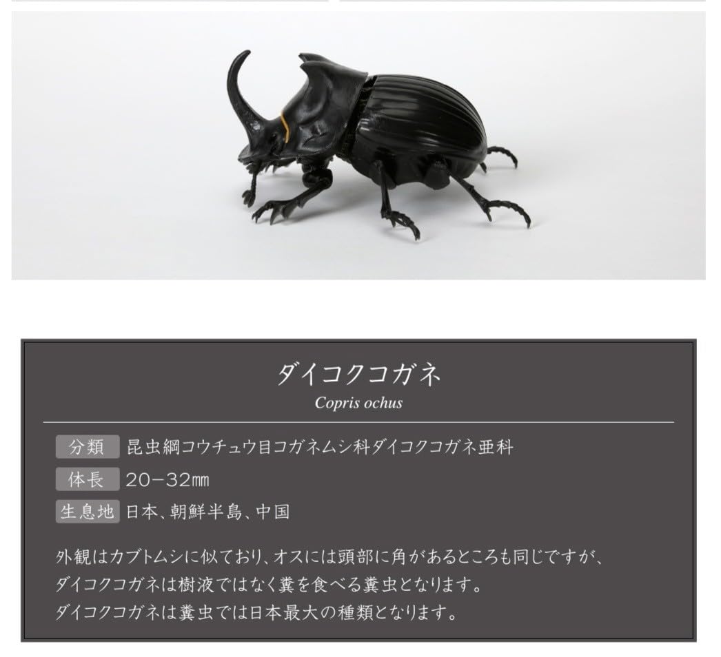 Amazon.co.jp: 未組立いきもの大図鑑 かぶとむし05 ダイコクコガネ