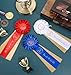 1st 2nd 3rd Place Ribbons, 3 Pcs Prize Ribbons for Classroom Winners Certificate Prizes, Sports Game Competition Winners (Blue, Red & White)