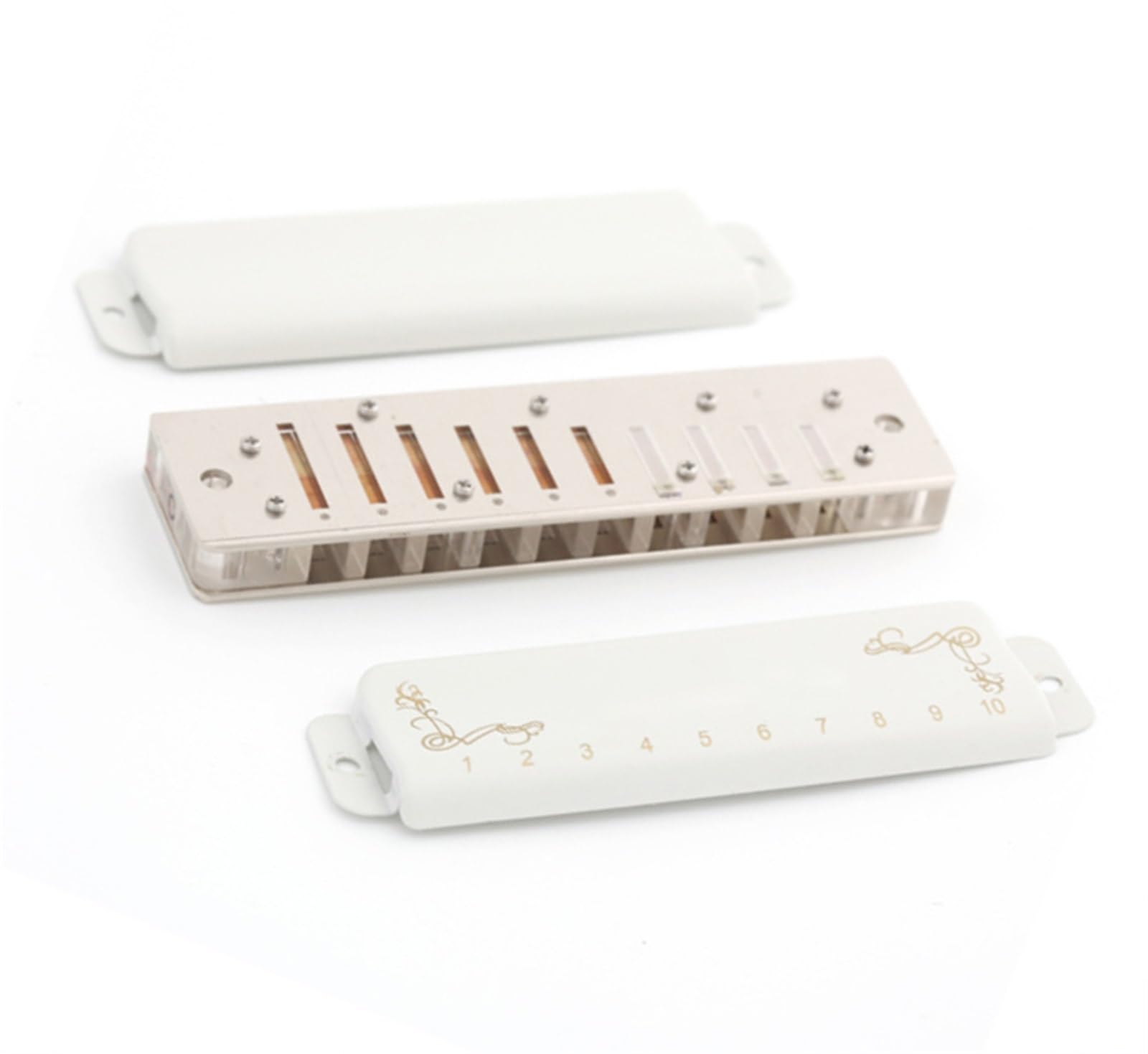 Diatonische Mundharmonikas Diatonisches Mundharmonika Instrument
