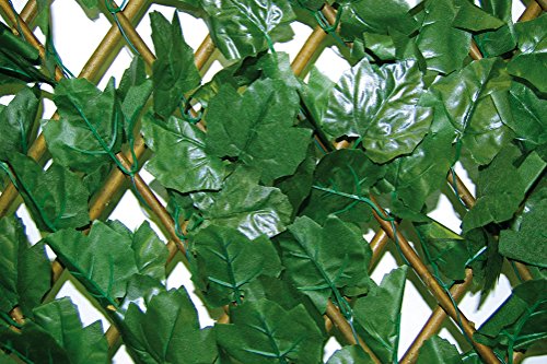 Tenax 1A100488 Divy X-Tens Hedera Celosía Extensible con Hiedra Artificial