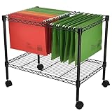 Finnhomy Premium 1-Tier Metal Rolling File Cart for Letter Size and Legal Size Folder, Black