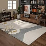 WSNCXFW Riscaldatore a Pavimento a infrarossi, Tappeto riscaldante Elettrico, riscaldatore per Interni, Tappetino riscaldante Impermeabile e Regolabile, Ideale per Lo Yoga,B,50 * 80CM