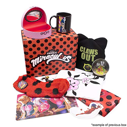 Miraculous Ladybug Quarterly Subscription Box - January - 2021 Box