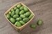 David's Garden Seeds Cucumber Gherkin Mexican Sour SL3174 (Green) 50 Non-GMO, Heirloom Seeds