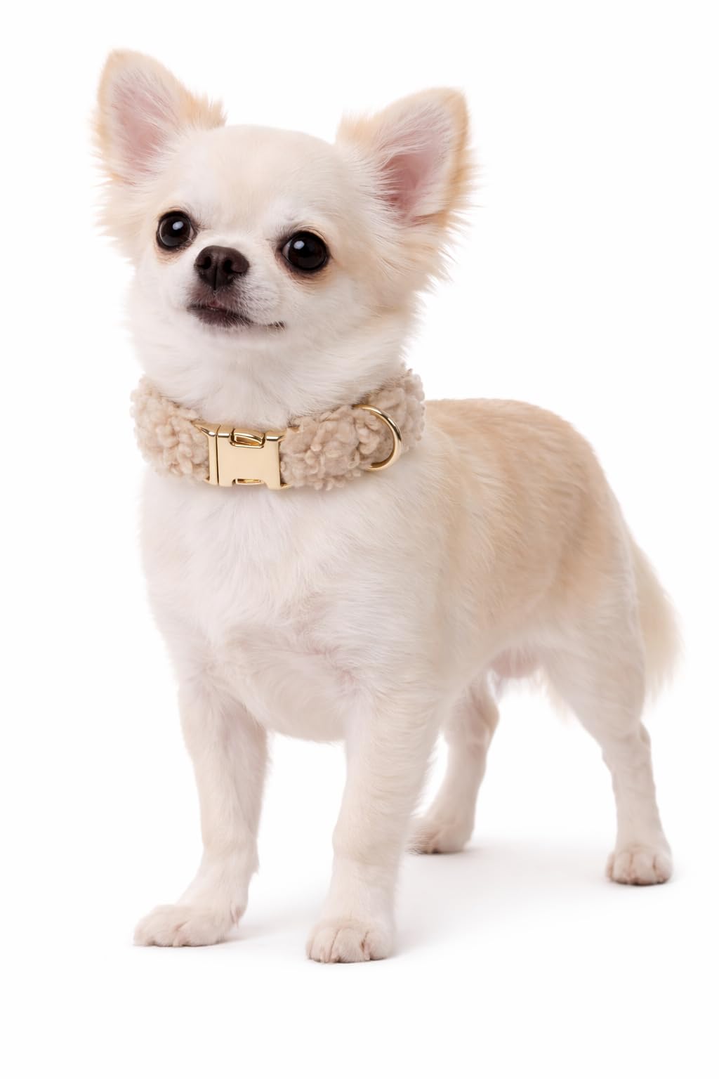 Dog Collar Pookie Beige XS 23-35cm 15mm