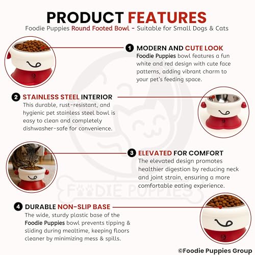 Image of Foodie Puppies Pet Elevated Cat Bowl - (Fun Face Round Bowl) | Detachable Stainless Steel Raised Bowl for Food & Water Feeding | Durable, Anti-Vomiting, Mess-Free Feeder for Cats, Kittens & Puppies