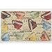 Chef Gear Coffee Cup Party Anti-Fatigue Comfort Memory Foam Chef Mat, 18 by 30-Inch