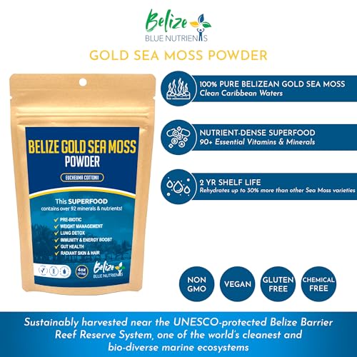 Belize Blue Nutrients – Gold Sea Moss Powder – 100% Pure Sustainably Harvested Eucheuma Cottonii from Belize – Mineral-Rich Superfood for Energy, Gut & Immune Support - 4 Oz - Image 4