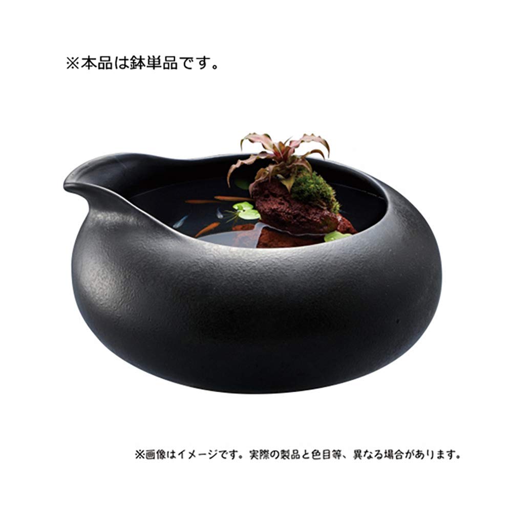 Amazon | ジェックス 和の鴨口陶器鉢 墨黒 | GEX | 金魚鉢 通販