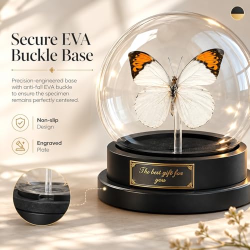 Wugakio Glass Taxidermy Butterfly Specimen Shadow Box, Butterfly Gifts for Women Girls with Glass Cover, Butterfly Decor for Bedroom Office Living Room Desk (Hebomoia glaucippe-1) — view 6
