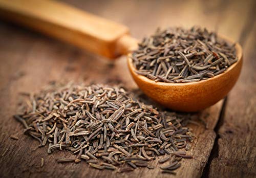 Gaea's Blessing Seeds - Caraway Seeds for Planting - Non-GMO Open-Pollinated Heirloom 93% Germination Rate - Image 3