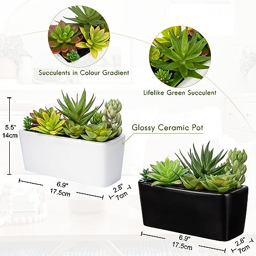 Briful 2 Packs Artificial Succulent Plants Faux Succulents in Black Ceramic Pot, Fake Plants Artificial Succulents Potting Mix Artificial Plants in Pot for Office Home Bathroom Shelf Decor - Image 2